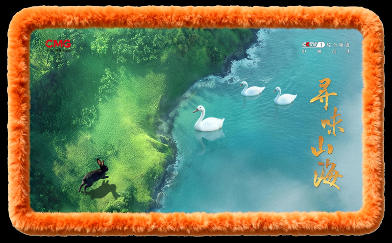 总台周末看点 | 奔赴，不负此刻