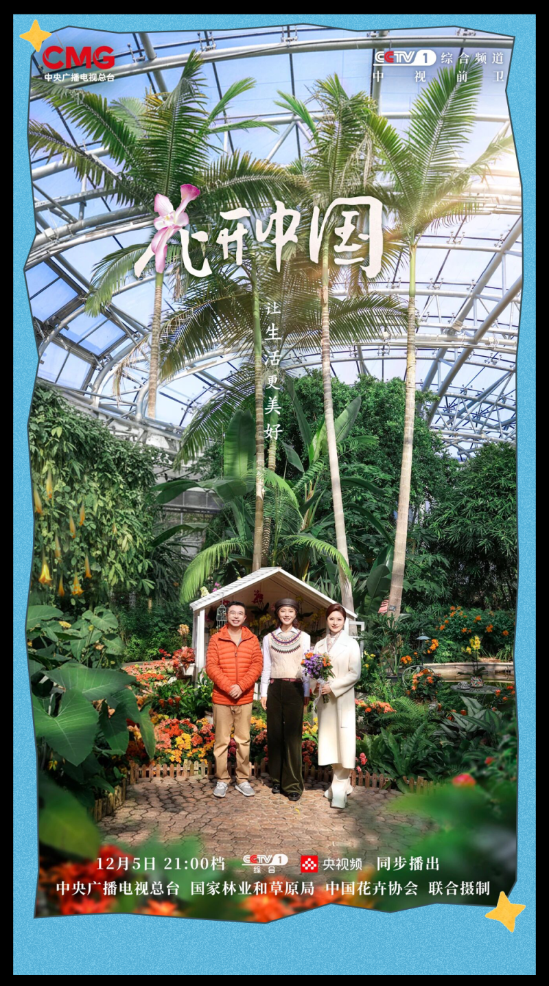 总台周末看点丨打包冬日温暖