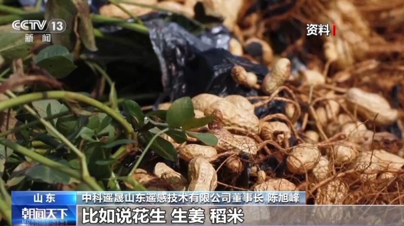 从“会种地”到“慧种地” 看十亿亩农田“版本升级”