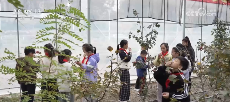 百姓“家门口”享受优质家庭教育服务 多种方式帮助家长缓解“育儿焦虑”