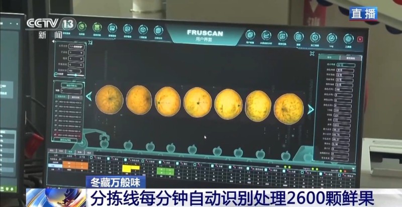 一粒豆一颗柑 中国味道饮品里藏着“绿色致富密码”