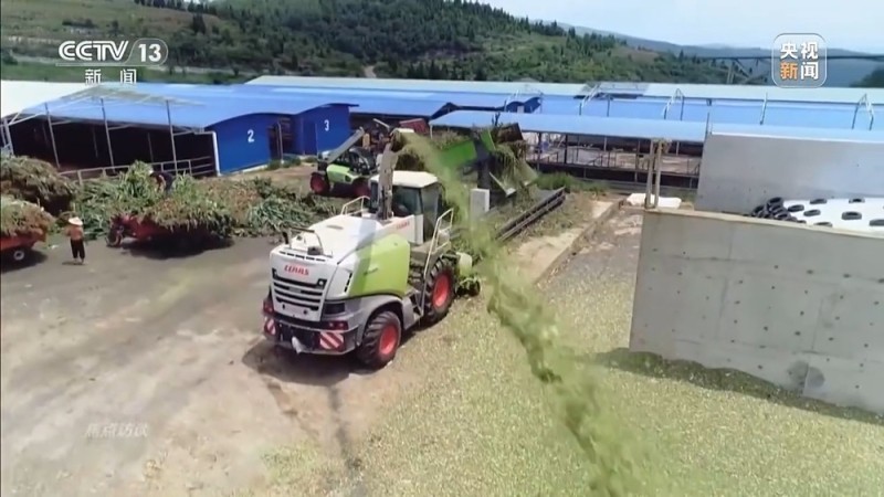 焦点访谈丨让一亿人稳定脱贫 中国有独特的“方法论”