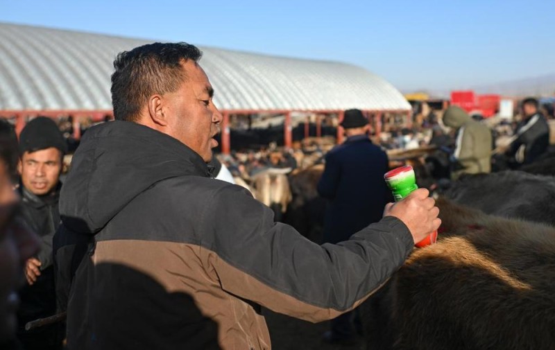 在新疆的巴扎 他们是连接牧场和市场的“纽带”