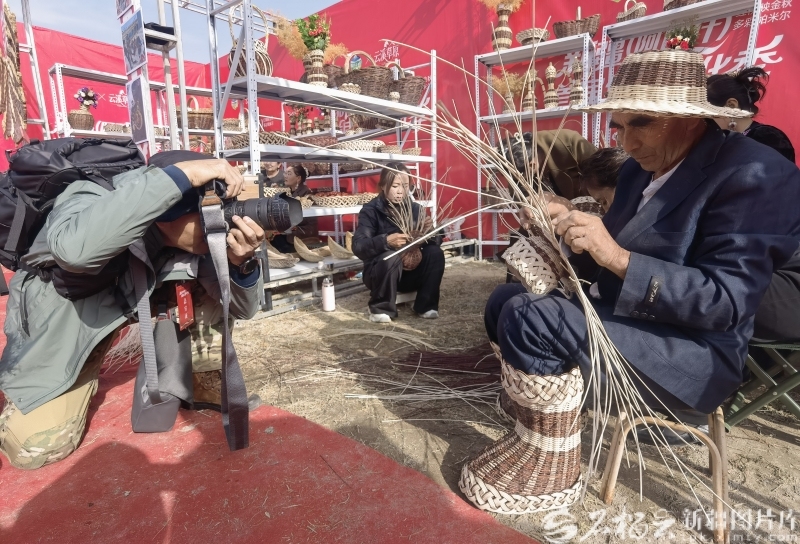 120万亩红柳林如何让荒漠重生――哈拉峻乡的生态振兴实践