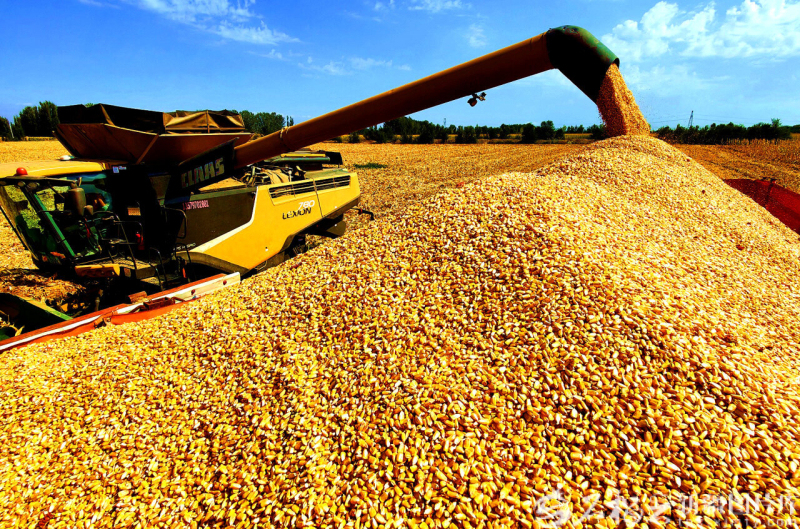 基础更稳 动能更强 活力更足――2025新疆经济高质量发展观察