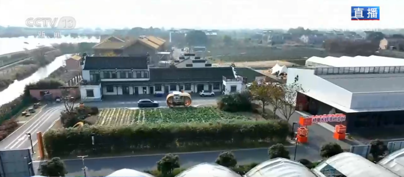 让“闲田”变“忙田” 农村创业新力量让冬日乡村“火”起来