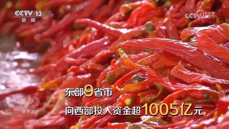 焦点访谈｜新时代的减贫奇迹，是怎么做到的？