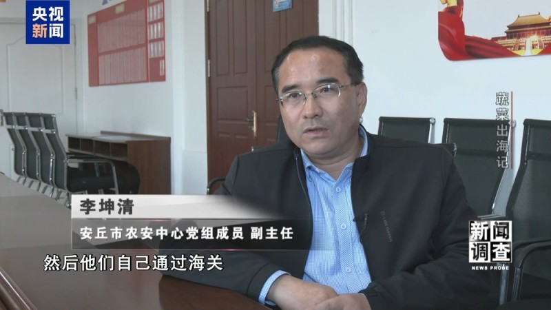 新闻调查丨从追标准到定标准 “中国蔬菜出口第一县”做对了什么？