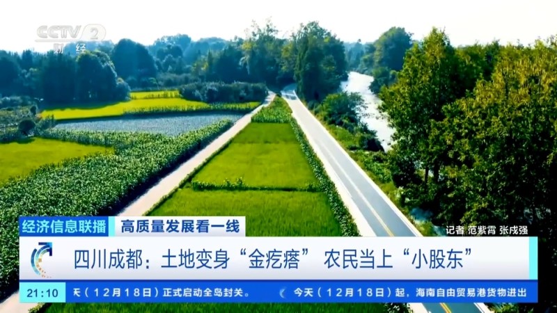 集体资产过亿元！这里的土地变身“金疙瘩”，农民当上“小股东”