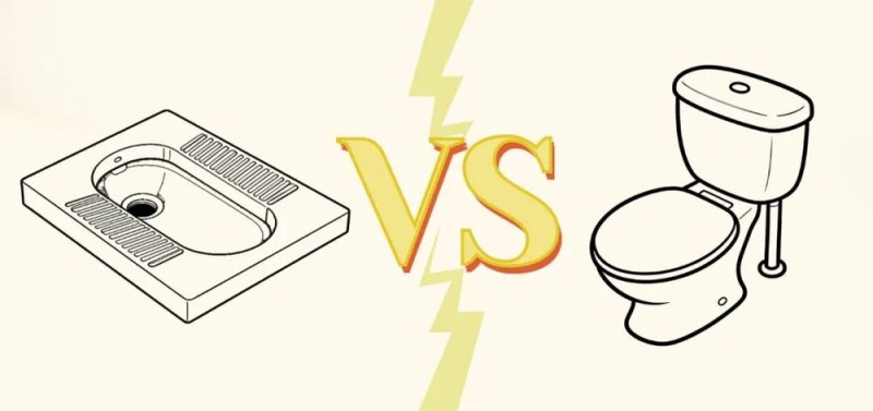 真心建议：如厕方式这样选，更健康！