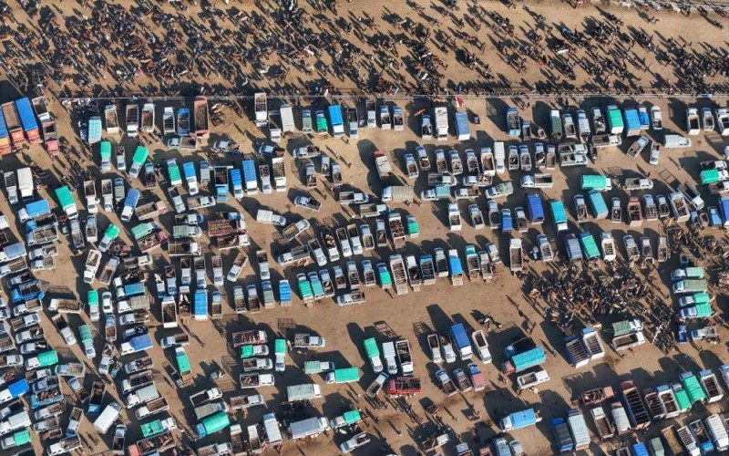 在新疆的巴扎 他们是连接牧场和市场的“纽带”