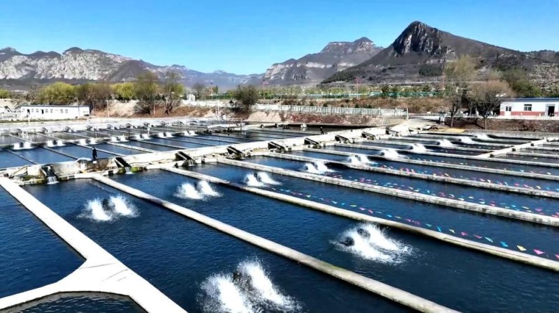 新华视点丨冬日暖阳里 听一首乡村振兴交响曲