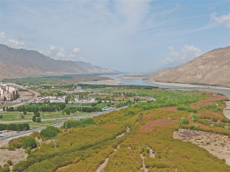 青藏联动报道| “绿进沙退”雅江展新颜