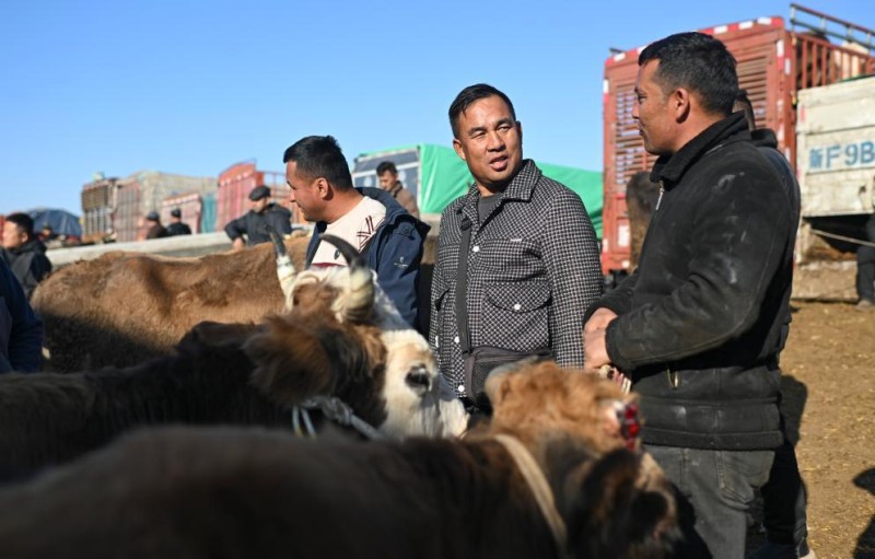 在新疆的巴扎 他们是连接牧场和市场的“纽带”