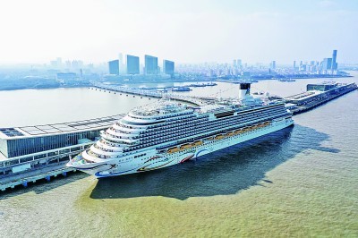 在与世界的双向奔赴中共创共赢――上海、江苏、海南高水平对外开放见闻