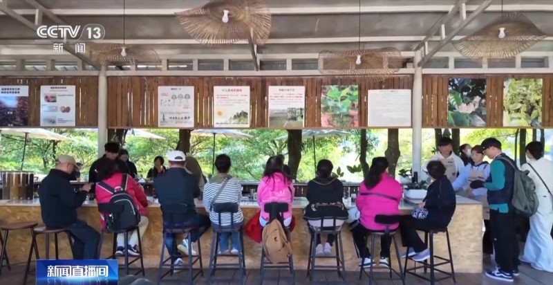 一粒豆一颗柑 中国味道饮品里藏着“绿色致富密码”