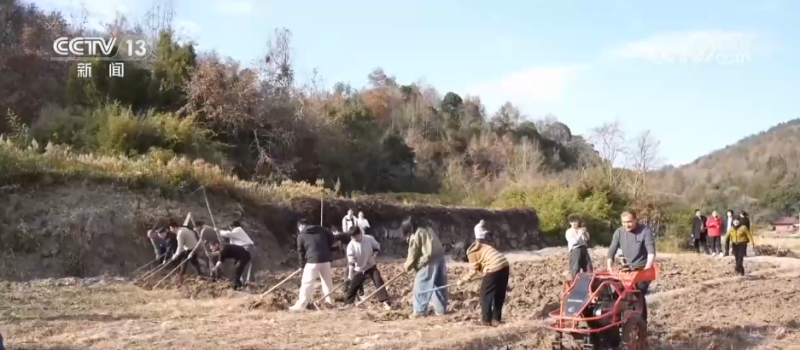 让“闲田”变“忙田” 农村创业新力量让冬日乡村“火”起来