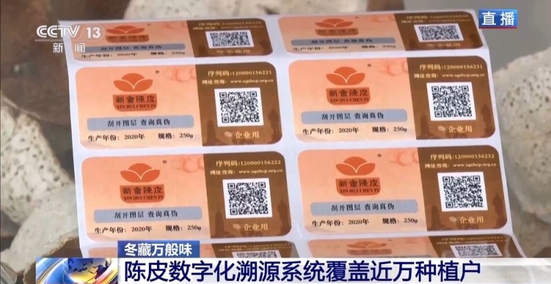 一粒豆一颗柑 中国味道饮品里藏着“绿色致富密码”