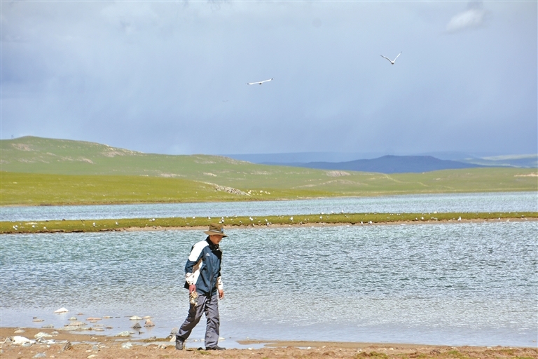 藏北高原"新生代"守望者：邀生灵"出镜" 让保护"出圈"