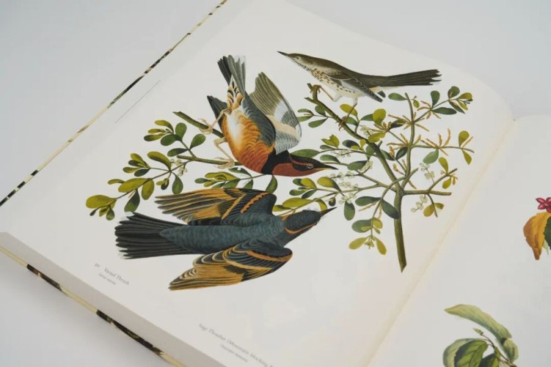 第36届香港印制大奖揭晓,雅昌斩获29个奖项!