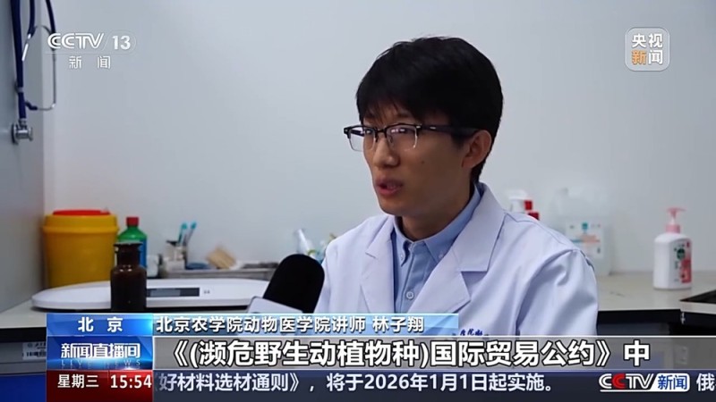 视频丨“异宠”虽潮，饲养有道！警惕生物安全风险，勿碰法律红线