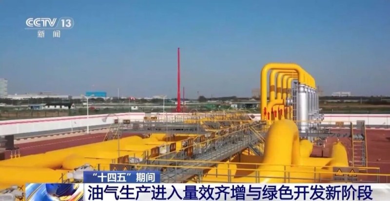 7点出发|2.9亿年前大型木化石被发现!山西地下还藏着啥?