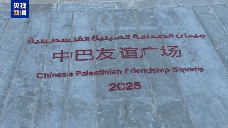 视频丨独家专访巴勒斯坦驻华大使：赞赏中方推动巴以和平进程建设性作用