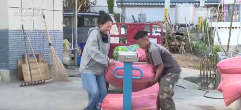 “服务+科技”擦亮特色产业“金字招牌” 农户增收“节节高”