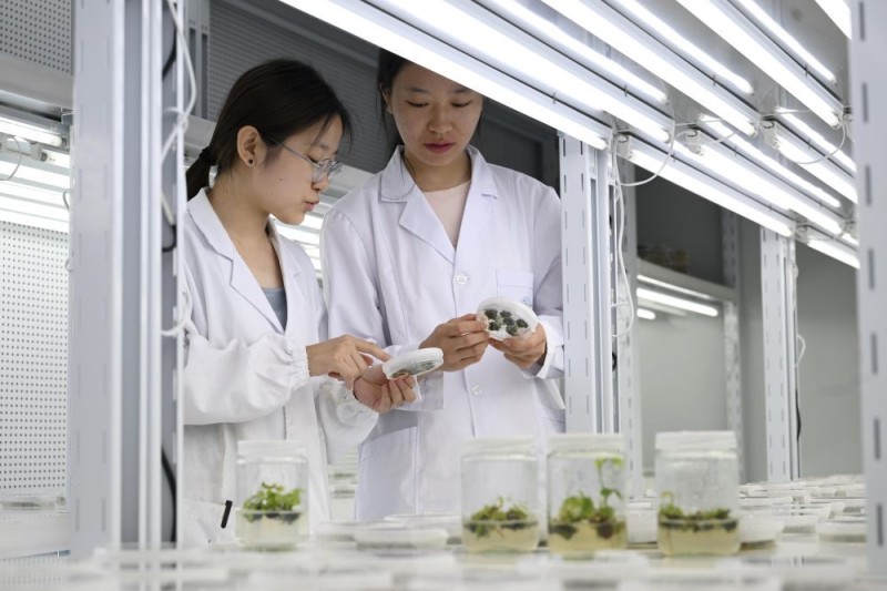 2025中国经济回眸｜筑牢发展安全根基 守住风险防控底线――解码中国经济稳健前行的底气