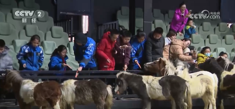 各地冬日文旅融合“多点开花” 消费“旺”势十足