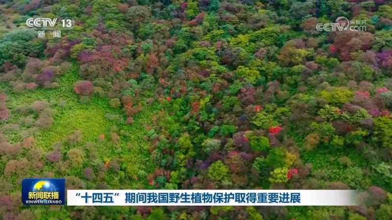 “十四五”期间我国野生植物保护取得重要进展