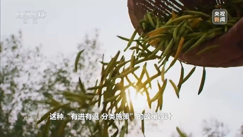 焦点访谈丨让一亿人稳定脱贫 中国有独特的“方法论”