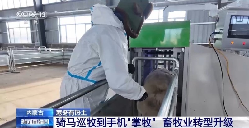 一只羊能有超170种产品!看草原美味如何撬动消费大市场