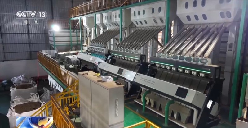 一粒豆一颗柑 中国味道饮品里藏着“绿色致富密码”