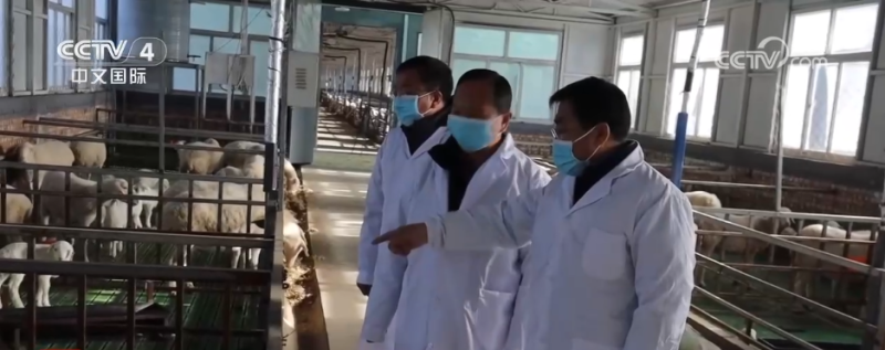 冷空气持续影响北方多地 多部门“攥指成拳”保生产保畅通