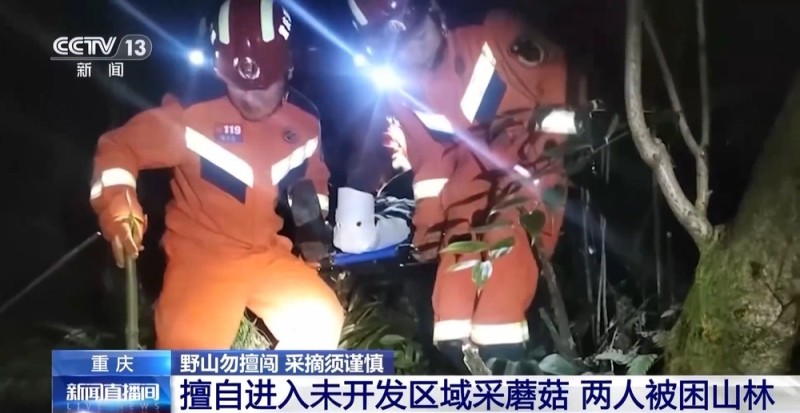 视频丨野外遇险被困频发 陌生山林采摘危险需警惕
