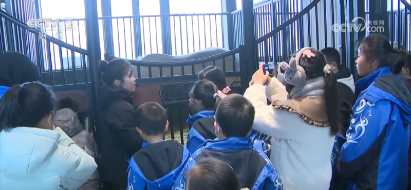 各地冬日文旅融合“多点开花” 消费“旺”势十足