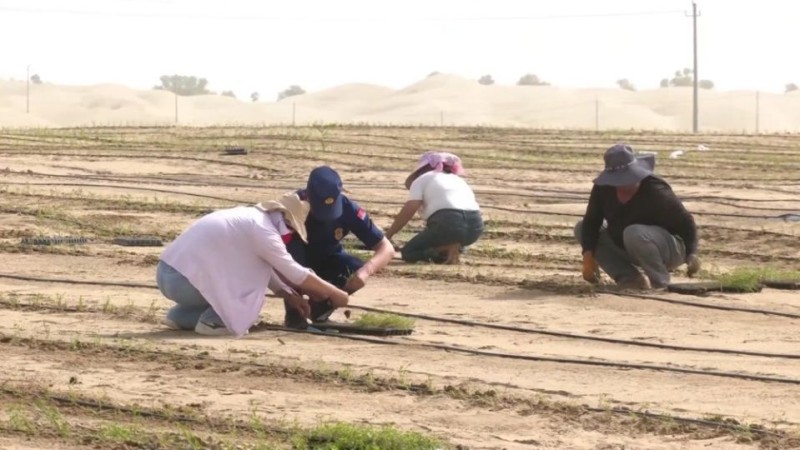 新华视点|山河新貌:多地实践探索绿色发展