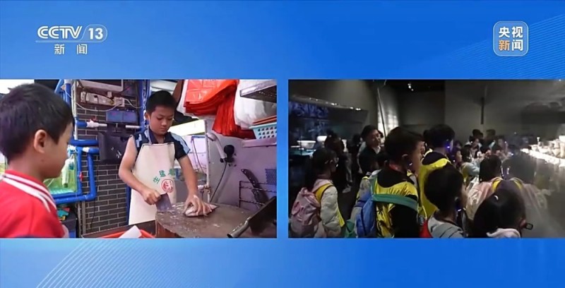 新闻周刊丨雪假、春秋假来了,学生的“新”假期到底怎么过?