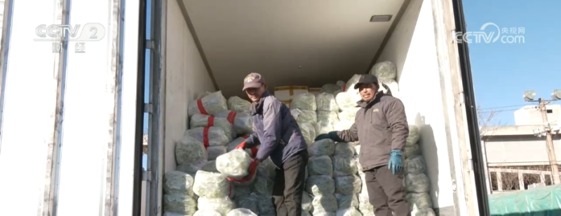 11月份“菜篮子”产品价格呈现季节性上涨 多因素推高生产成本