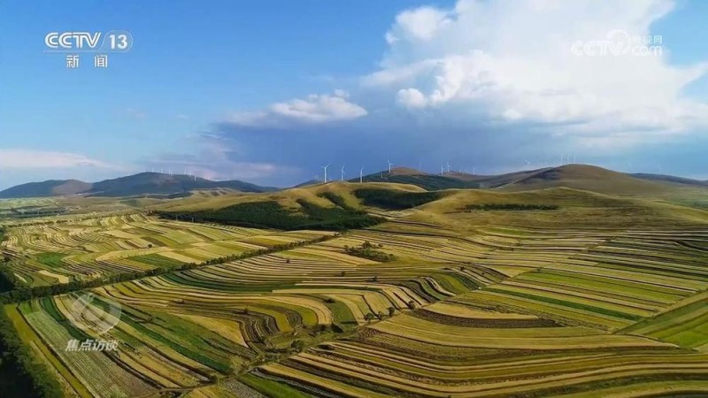 焦点访谈｜新时代的减贫奇迹，是怎么做到的？