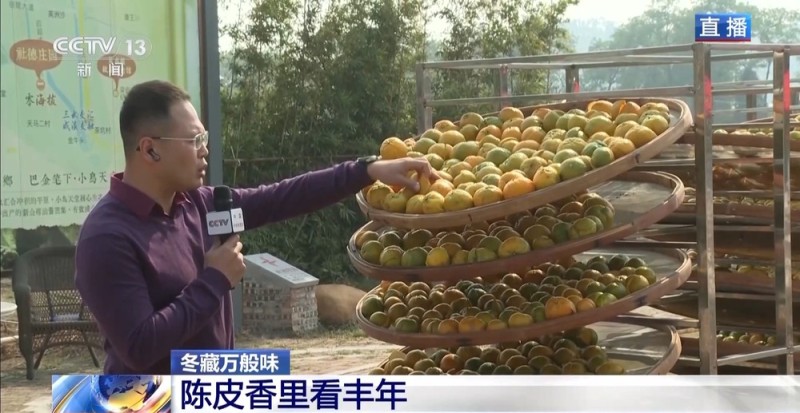 一粒豆一颗柑 中国味道饮品里藏着“绿色致富密码”