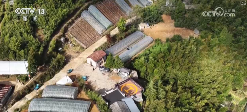 从民生服务到产业赋能多视角观察1800亿件快递背后“含金量”“含智量”