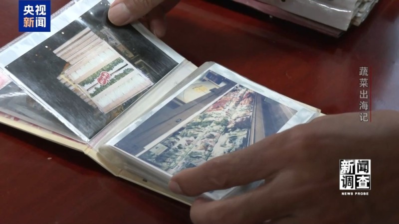 新闻调查丨从追标准到定标准 “中国蔬菜出口第一县”做对了什么？