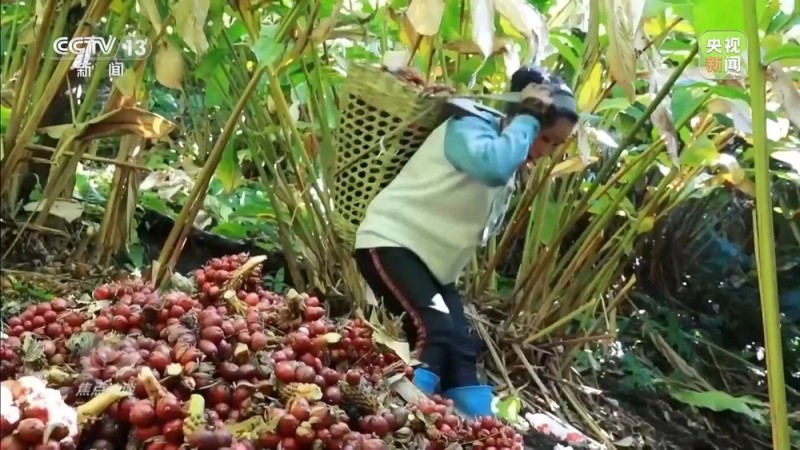 焦点访谈丨让一亿人稳定脱贫 中国有独特的“方法论”