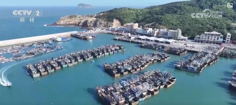 电商销售额3.5亿、出口增长10.2%:水产产业链升级激活乡村经济