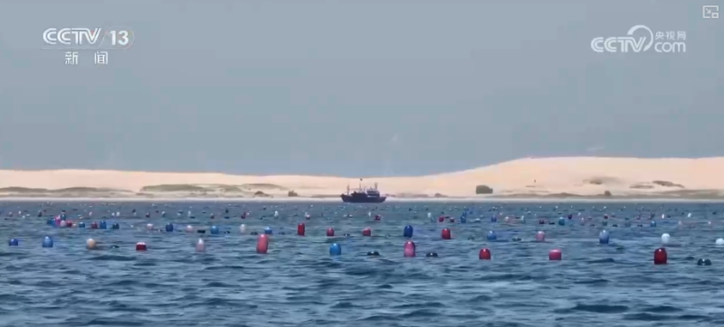 科技赋能海洋经济向“新”而行 “海上牧场”产出“大经济”助农增产增收