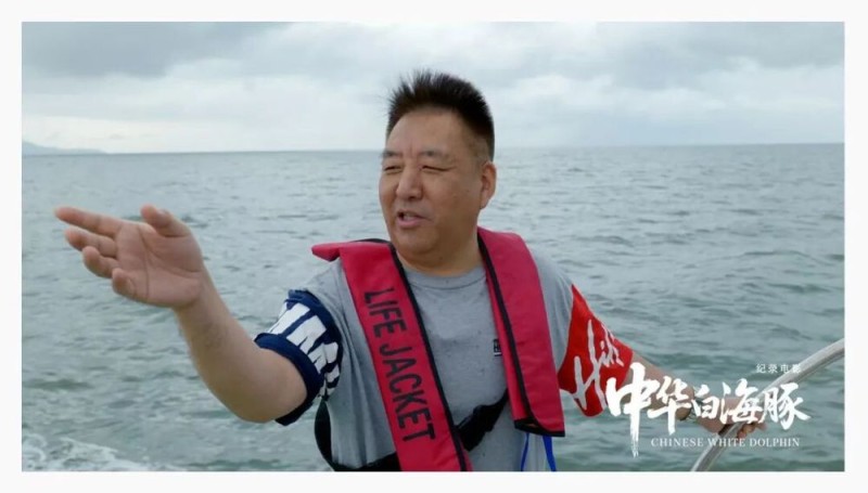 与粤港澳“海洋精灵”相遇 《中华白海豚》12月12日上映 不止于海的生命叙事