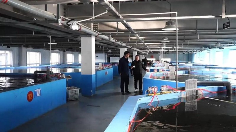 新华视点丨冬日暖阳里 听一首乡村振兴交响曲