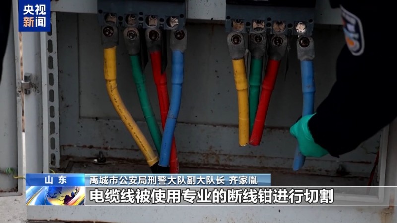 视频丨电缆大盗上演“黑吃黑” 作案20余次终落网